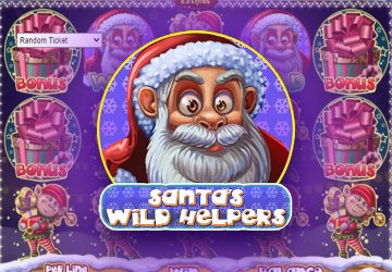 Santa Wild Helpers
