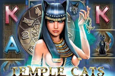 Temple Cats