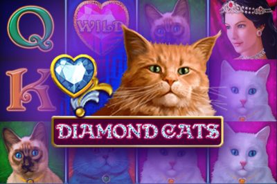 Diamond Cats