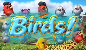 Birds
