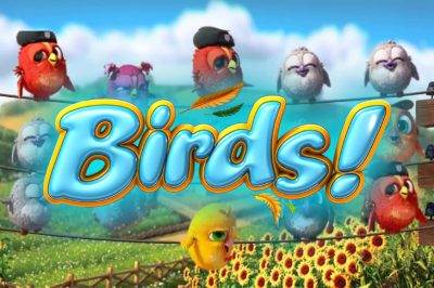 Birds
