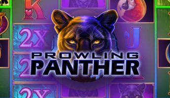 Prowling Panther