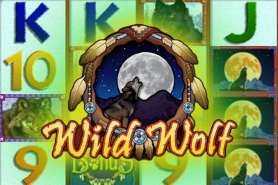 Wild Wolf