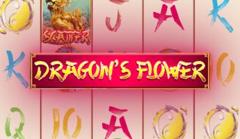 Dragon’s Flower Dragon’s Flower