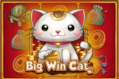 Big Win Cat