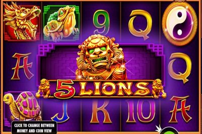 5 Lions