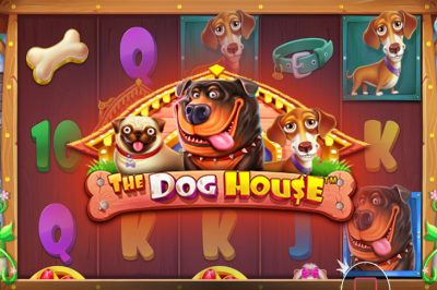 The Dog House
