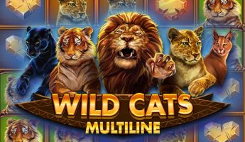 Wild Cats Multiline