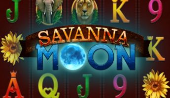Savanna Moon