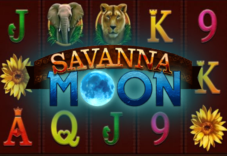 savanna moon hours
