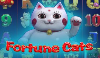 Fortune Cats
