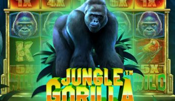 Jungle Gorilla