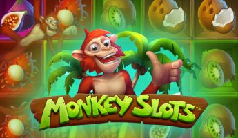 Monkey Slots Monkey Slots