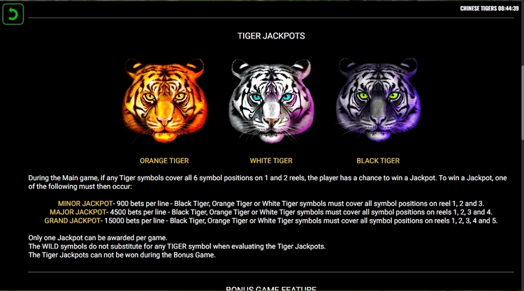 Тайгер характеристика. Южно китайский тигр описание. Все характеристики тигра. Южно китайский тигр сколько осталось. Южно китайский тигр текст.