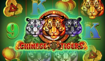 Chinese Tigers