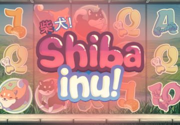 Shiba Inu