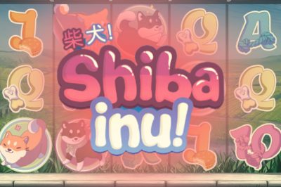 Shiba Inu