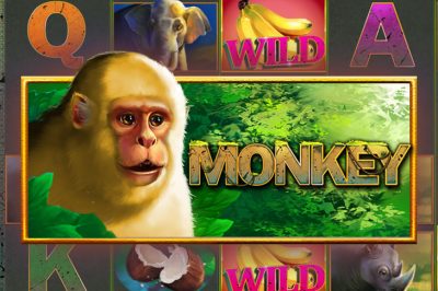 Monkey