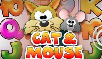 Cat and Mouse Cat and Mouse