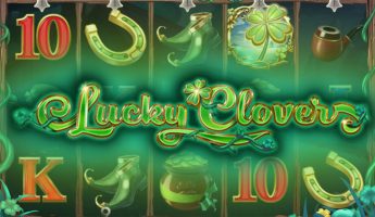 Lucky Clover Lucky Clover