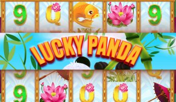 Lucky Panda Lucky Panda