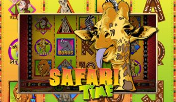 Safari Time Safari Time
