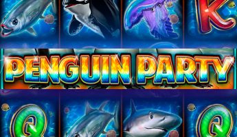 Penguin Party Penguin Party