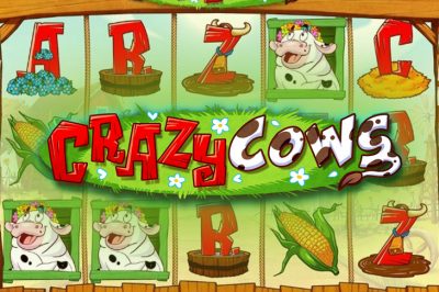 Crazy Cows