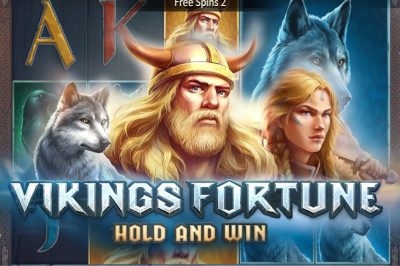Vikings Fortune: Hold and Win