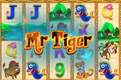 Mr Tiger