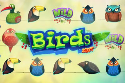 Bird Slot