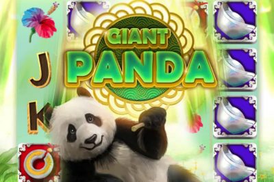 Giant Panda