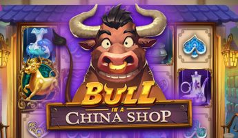 Bull in a China Shop