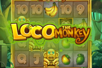 Loco the Monkey