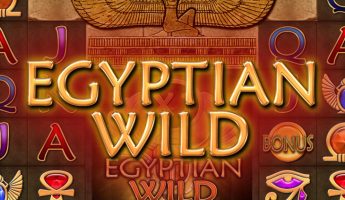 Egyptian Wild