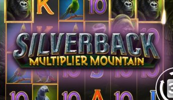 Silverback Multiplier Mountain