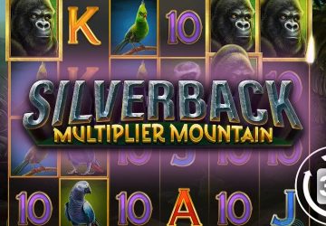 Silverback Multiplier Mountain
