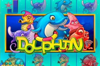 Dolphin