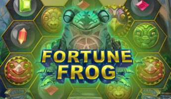 Fortune Frog