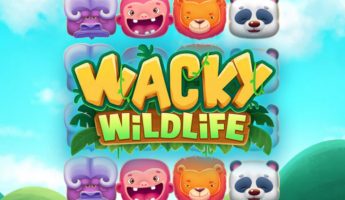 Wacky Wildlife