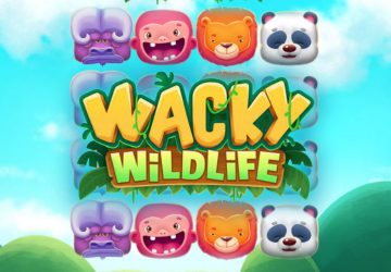 Wacky Wildlife