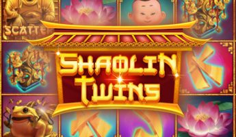 Shaolin Twins