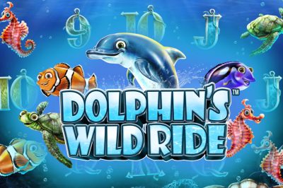 Dolphin’s Wild Ride