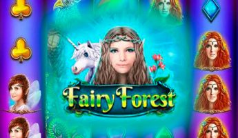 Fairy Forest Fairy Forest