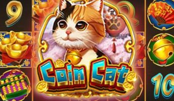 Coin Cat
