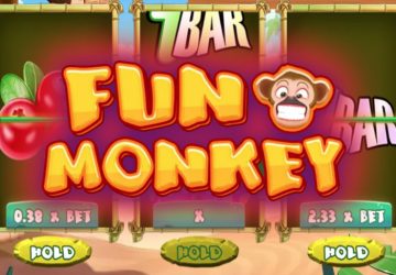 Fun Monkey