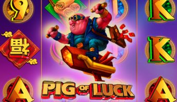 Pig Of Luck Pig Of Luck
