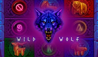 Wild Wolf