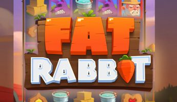 Fat Rabbit