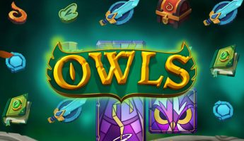 Owls